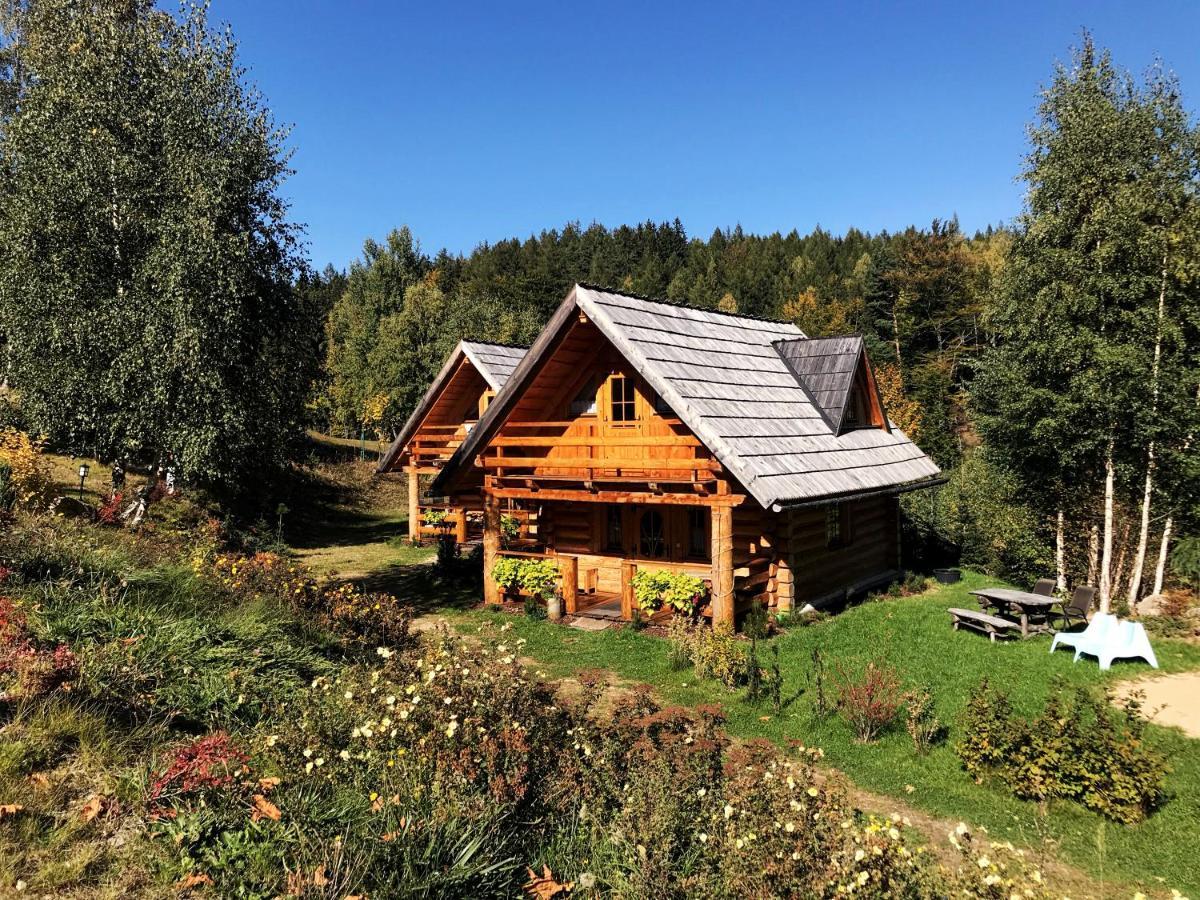 Lesniowka Domki W Karpaczu Dış mekan fotoğraf