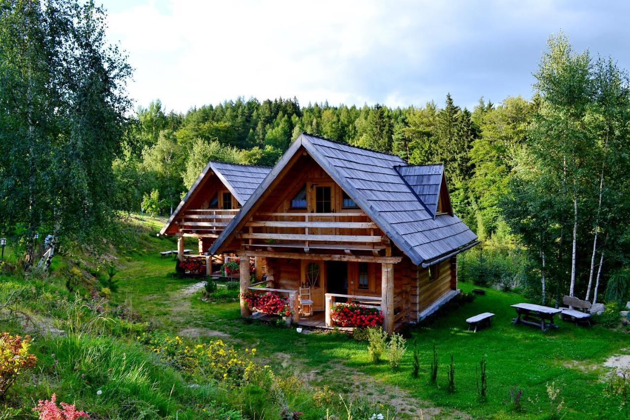 Lesniowka Domki W Karpaczu Dış mekan fotoğraf