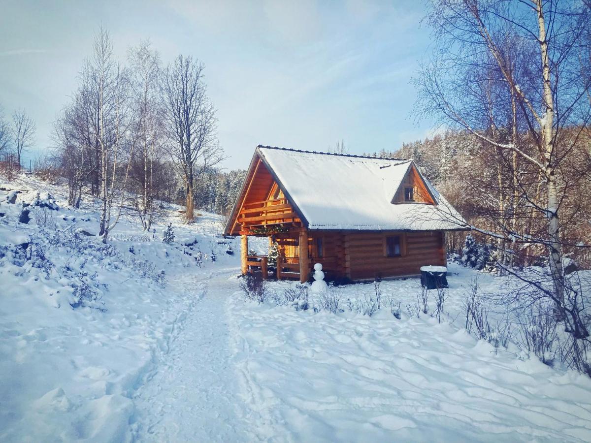 Lesniowka Domki W Karpaczu Dış mekan fotoğraf